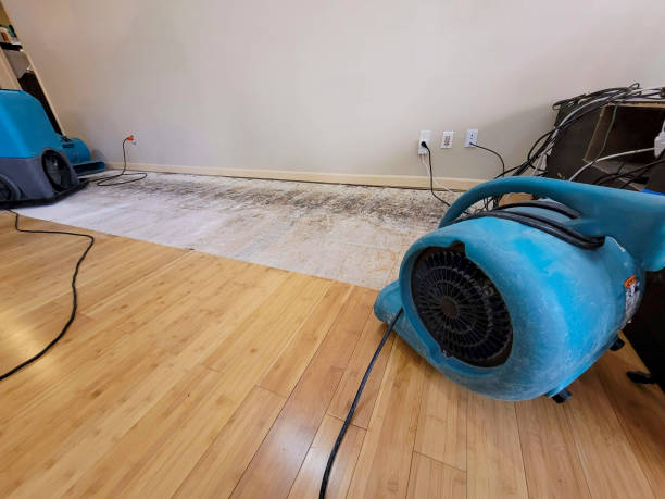 Professional Sewage Cleanup technician working in Andrews, TX